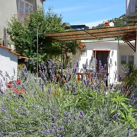 Guest house Teo 1 3*